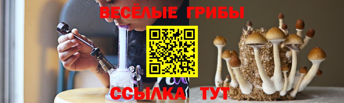 Псилоцибиновые грибы мухоморы  Галлюциногенные грибы Cubensis  Камышин  Вход с VPN 